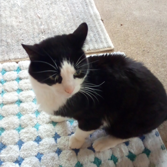 Meet the Posher, Jennifer - Picture 4 of 6